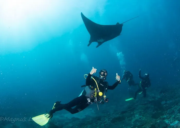 Bali Dive リゾート