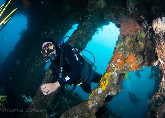 Bali Dive