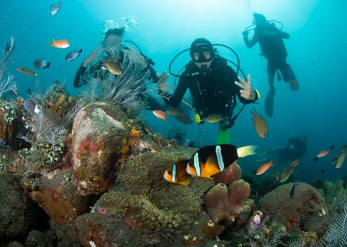 Bali Dive * アメッド